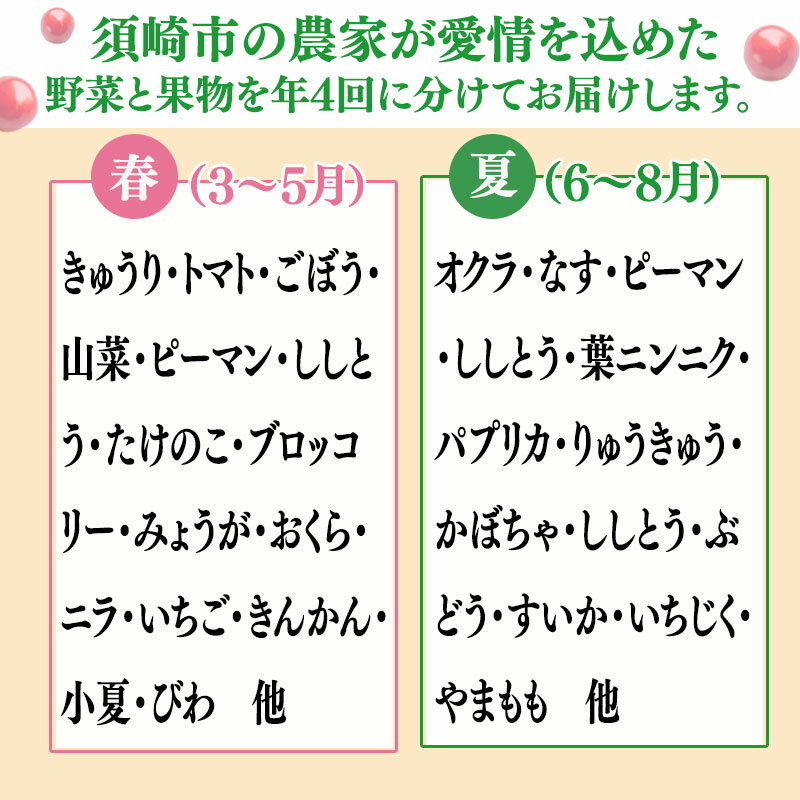 【ふるさと納税】 【 定期便 4回 】 野菜 ・ 果物 10 ～ 13 種類 セット | お楽しみ やさい フルーツ セット 旬 新鮮 農家 直送 詰め合わせ 国産 季節 ぶどう いちご スイカ きゅうり ピーマン なす トマト 大根 白菜 頒布会 高知県 須崎市 ふるさと納税野菜定期便 サムネイル2