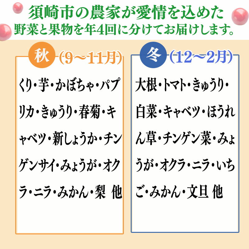 【ふるさと納税】 【 定期便 4回 】 野菜 ・ 果物 10 ～ 13 種類 セット | お楽しみ やさい フルーツ セット 旬 新鮮 農家 直送 詰め合わせ 国産 季節 ぶどう いちご スイカ きゅうり ピーマン なす トマト 大根 白菜 頒布会 高知県 須崎市 ふるさと納税野菜定期便 サムネイル3