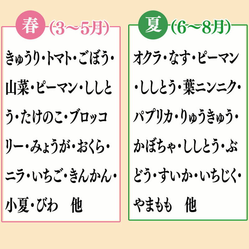 【ふるさと納税】 野菜 ・ 果物 10 ～ 13 種類 セット | 季節 旬 野菜 詰め合せ 国産 季節 旬 おまかせ 産地直送 春野菜 夏野菜 秋野菜 きのこ 葉物 果物 果菜 根菜 冷蔵 野菜室 食 栄養食 加工品 季節限定 山菜 ブロッコリー たまねぎ サラダ トマト 高知県 須崎市 ME001_x サムネイル2