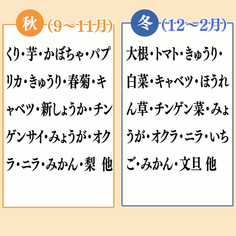 【ふるさと納税】 野菜 ・ 果物 10 ～ 13 種類 セット | 季節 旬 野菜 詰め合せ 国産 季節 旬 おまかせ 産地直送 春野菜 夏野菜 秋野菜 きのこ 葉物 果物 果菜 根菜 冷蔵 野菜室 食 栄養食 加工品 季節限定 山菜 ブロッコリー たまねぎ サラダ トマト 高知県 須崎市 ME001_x サムネイル3