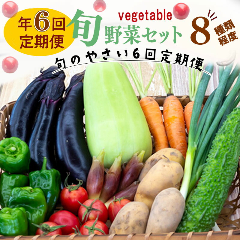 定期便 年 6回 野菜 旬 セット お楽しみ 約 8品目 やさい セット 旬 新鮮 農家 直送 詰め合わせ 国産 野菜便 季節 フレッシュ 果物 フルーツ 大根 白菜 ME3000人気 ランキング 食品 お楽しみ バラエティ おすすめ 6ヶ月 ふるさと納税野菜定期便 ME3000_x