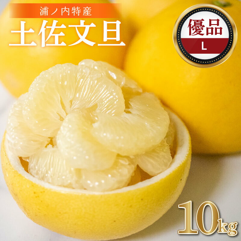 【早期予約開始!!2026年2月頃より順次発送】 浦ノ内特産 土佐文旦 10kg 優品 Lサイズ | みかん 蜜柑 柑橘 文旦 10キロ 明神果樹園 人気 ランキング 数量限定 期間限定 高知県 須崎市 ふるさと納税果物 MKJ005_xx