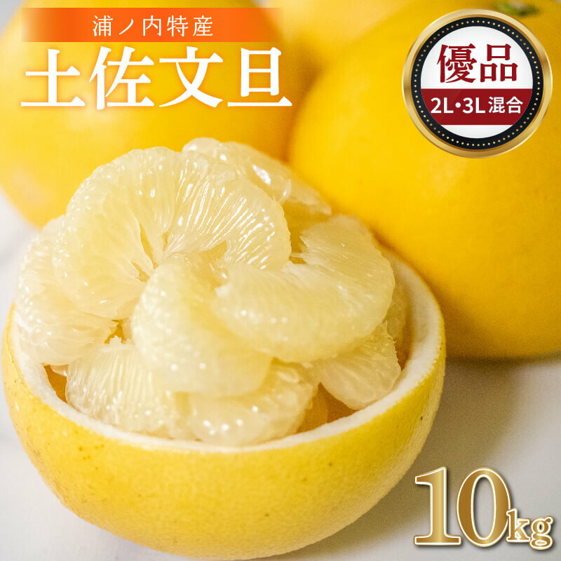 【早期予約開始!!2026年2月頃より順次発送】 浦ノ内特産 土佐文旦 10kg 優品 2L ・ 3L 混合 | みかん 蜜柑 柑橘 文旦 大玉 10キロ 明神果樹園 人気 ランキング 数量限定 期間限定 高知県 須崎市 ふるさと納税果物 MKJ006_x