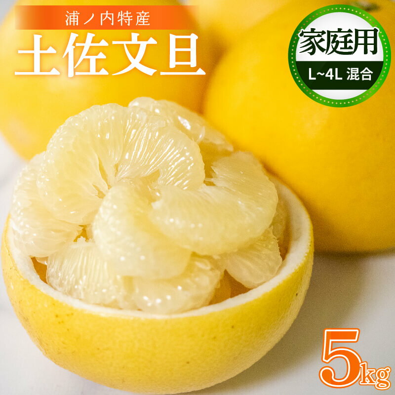 【早期予約開始!!2026年2月頃より順次発送】 訳あり 浦ノ内特産 家庭用 土佐文旦 5kg L ～ 4L サイズ 混合 | みかん 蜜柑 柑橘 文旦 5キロ 明神果樹園 人気 ランキング 数量限定 期間限定 高知県 須崎市 ふるさと納税果物 MKJ008_xx