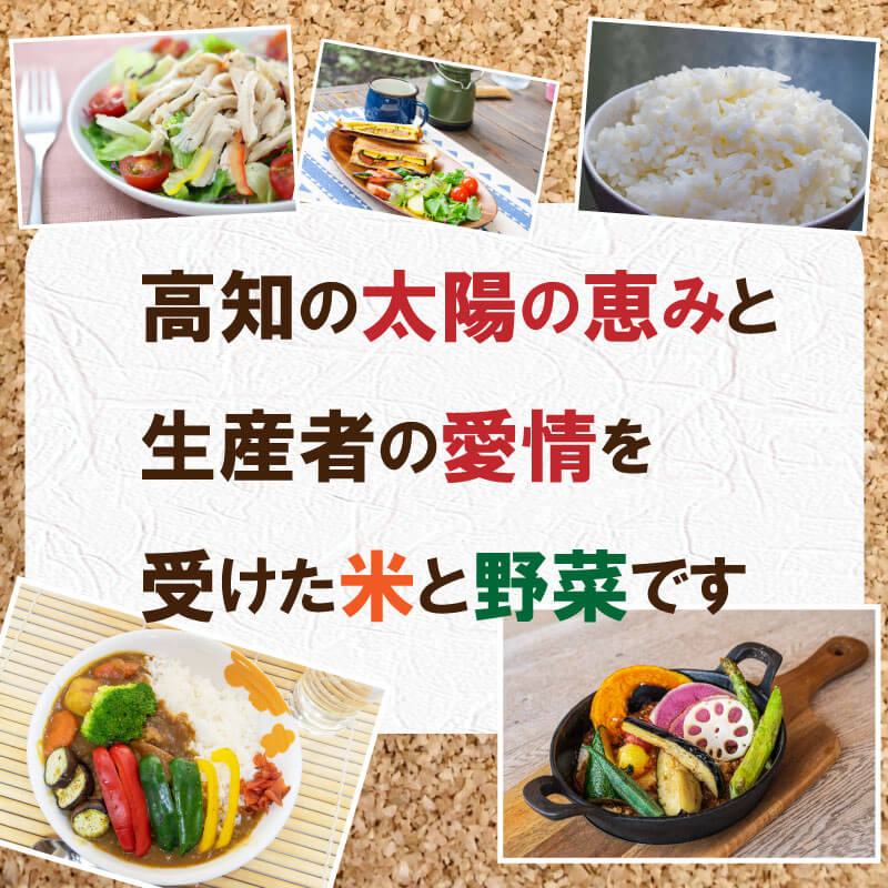 【ふるさと納税】 R7 新米 コシヒカリ 野菜 3ヶ月 定期便 新米 5kg 野菜 4品以上 セット ｜ 新鮮 朝採れ 野菜 ごはん 米 お米 白米 精米 セット 詰め合わせ 産地直送 高知 須崎 きゅうり 大根 ナス トマト じゃがいも カボチャ さつまいも キャベツ 白菜 トマト - 画像3