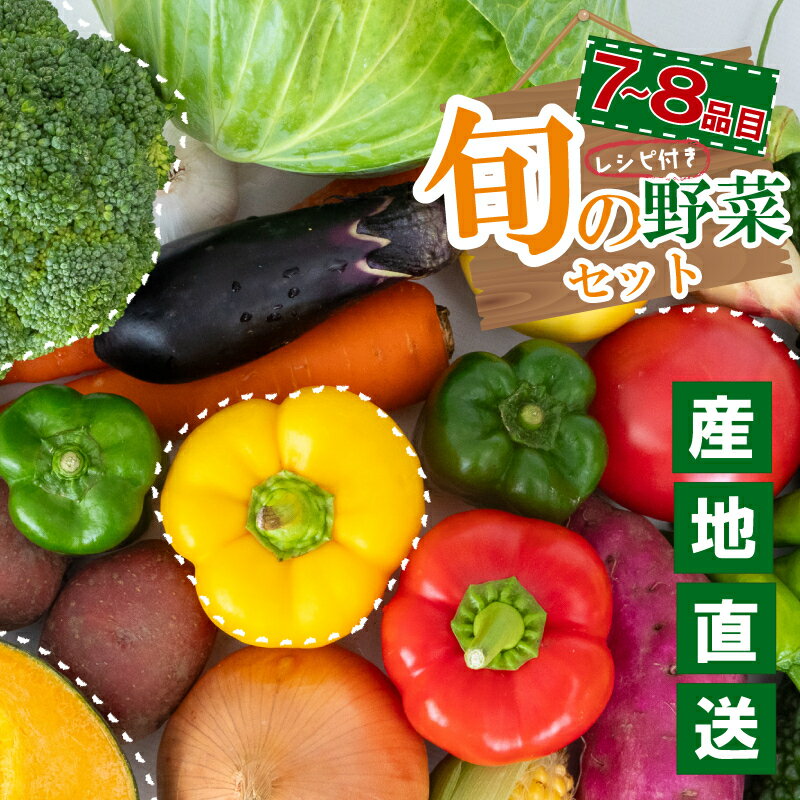 野菜 定期便 旬 選べる容量 1回 3回 6回 12回 産地直送 新鮮 朝採れ 季節野菜 詰め合わせ セット トマト キャベツ ナス かぼちゃ 人参 大根 じゃがいも きゅうり ネギ ほうれん草 高知県 須崎市 食品 お楽しみ 特産品 ベジタブル バラエティ おすすめ