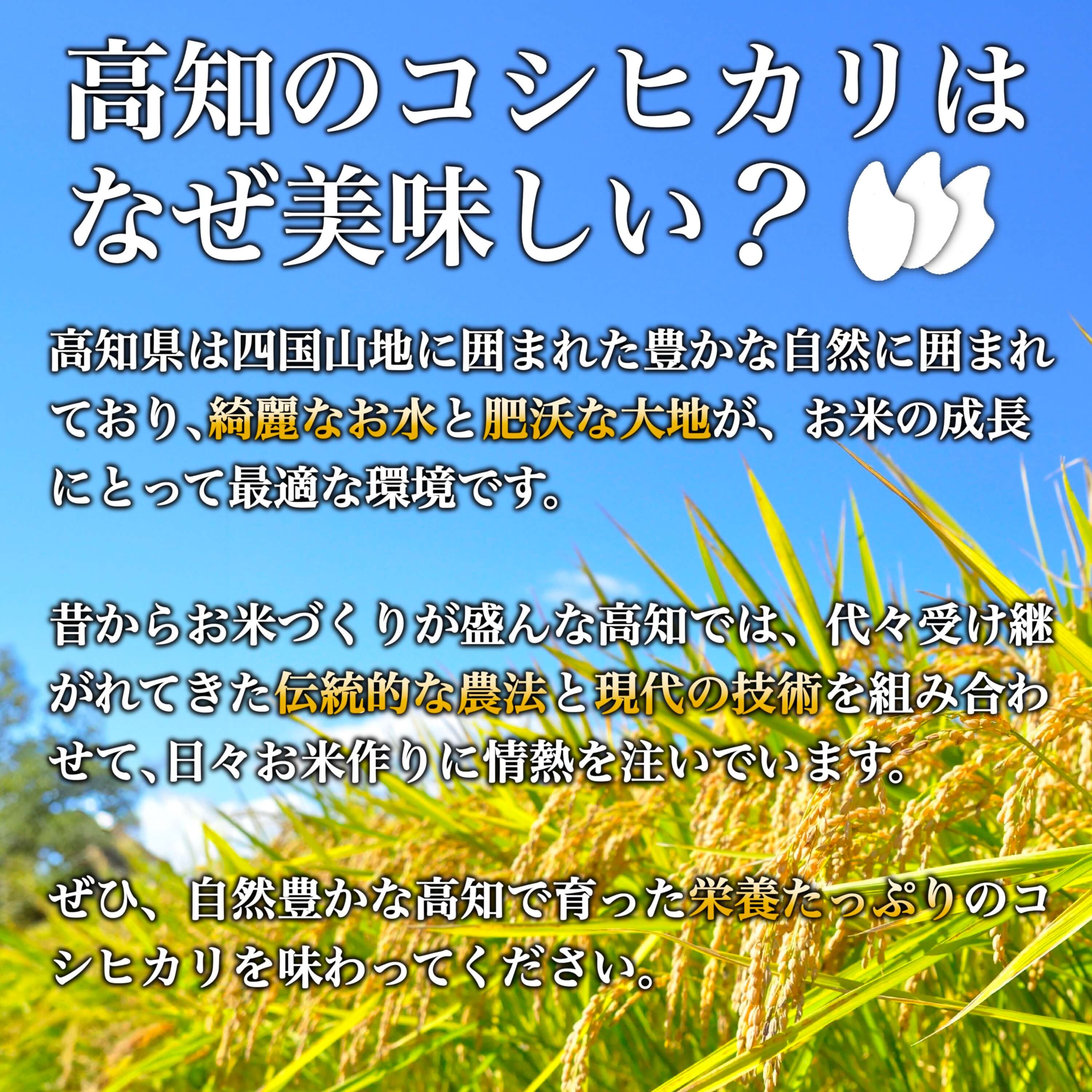 【ふるさと納税】 【 R7年産 定期便 】 コシヒカリ 定期便 8月下旬から収穫 高知県産 お米 選べる 3kg 5kg 10kg 3 ～ 6回 米 コシヒカリ 白米 精米 ごはん ご飯 産地直送 厳選 須崎市 NPO13000 - 画像2