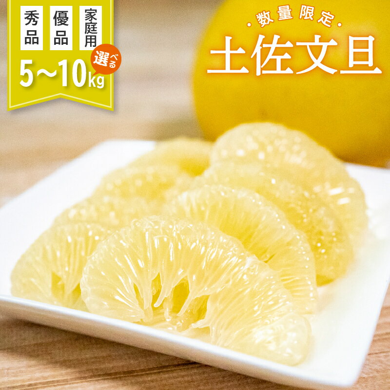 土佐文旦 秀品 優品 家庭用 10kg 5kg 高知県産 柑橘 旬 【2026年2月より順次発送】 フルーツふるさと納税 文旦 ぶんたん 果物 みかん 蜜柑 くだもの ふるさと納税柑橘 ふるさと納税文旦 先行予約 期間限定 数量限定 訳あり 分担 再販 高知 須崎