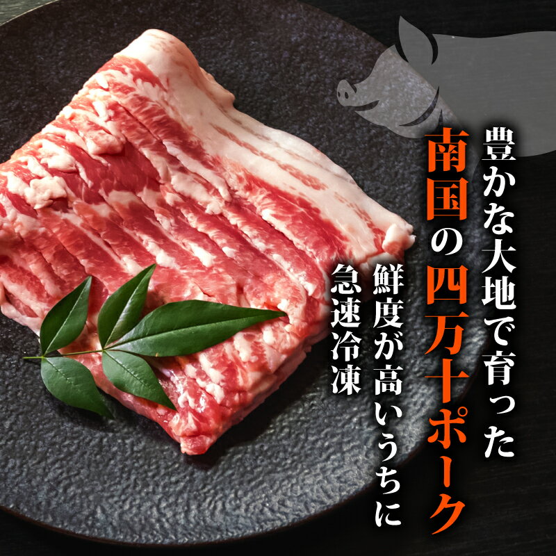 【ふるさと納税】 四万十ポークスライス 300g~3kg | 300g ごとの小分け 豚肉 豚バラ肉 小間切れ スライス 切り落とし 訳アリ 訳あり 冷凍 真空パック 簡単調理 細切れ 大容量 肉 高知県 須崎市 ふるさと納税豚肉 サムネイル2