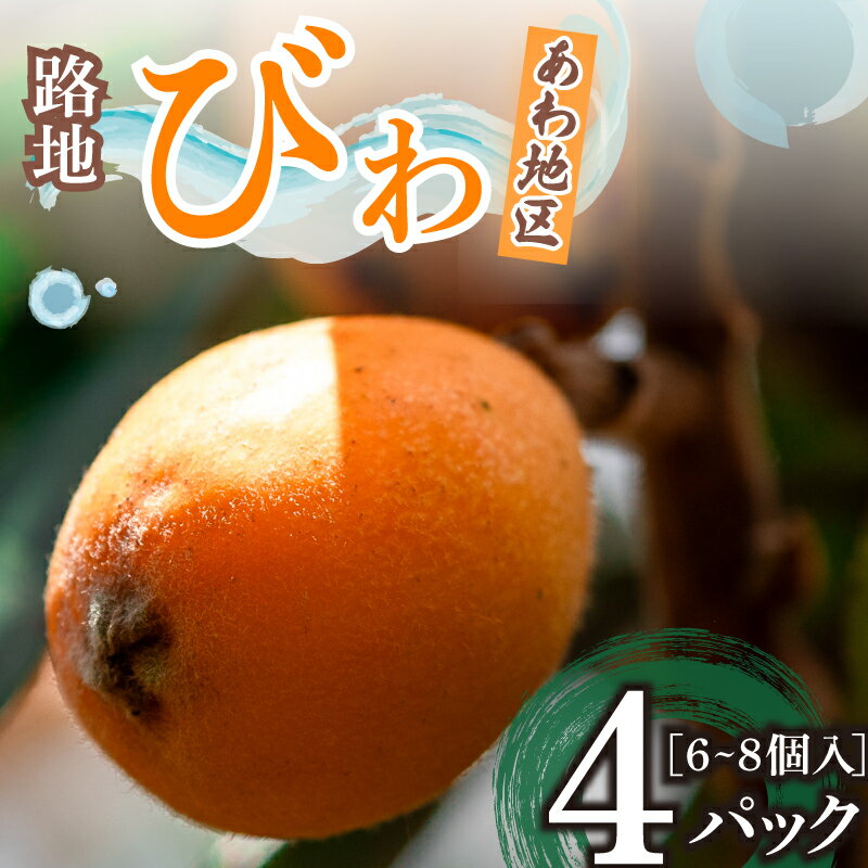 【 早期予約受付 5月中旬頃より順次発送 】 びわ フルーツ 果物 おすすめ 6 ~8個 4 パック 旬 果実 ギフト 須崎市 枇杷 ビワ 期間限定 季節 高知 高知県 安和