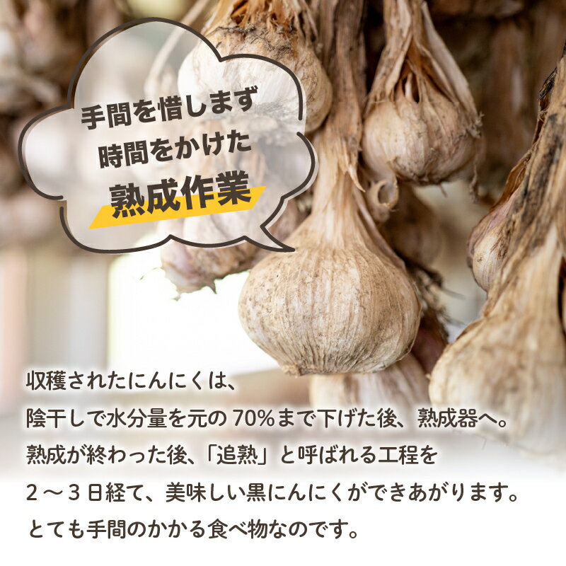 【ふるさと納税】 訳あり 黒にんにく150～500g あわ地区 野菜 高知 須崎 サムネイル3