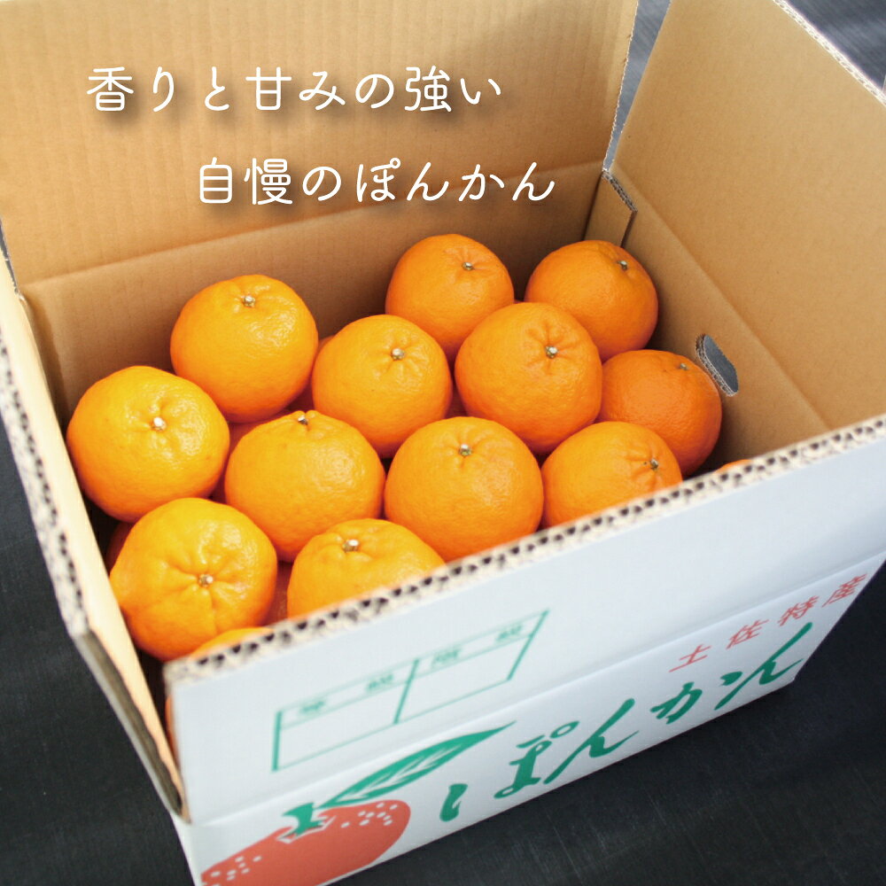 【ふるさと納税】 早期予約開始 1月下旬より順次発送 ポンカン 5kg 秀品 あわ地区ポンカン 収穫分 柑橘 フルーツ みかん 産地直送 熟成 送料無料 高知県 須崎市 サムネイル2