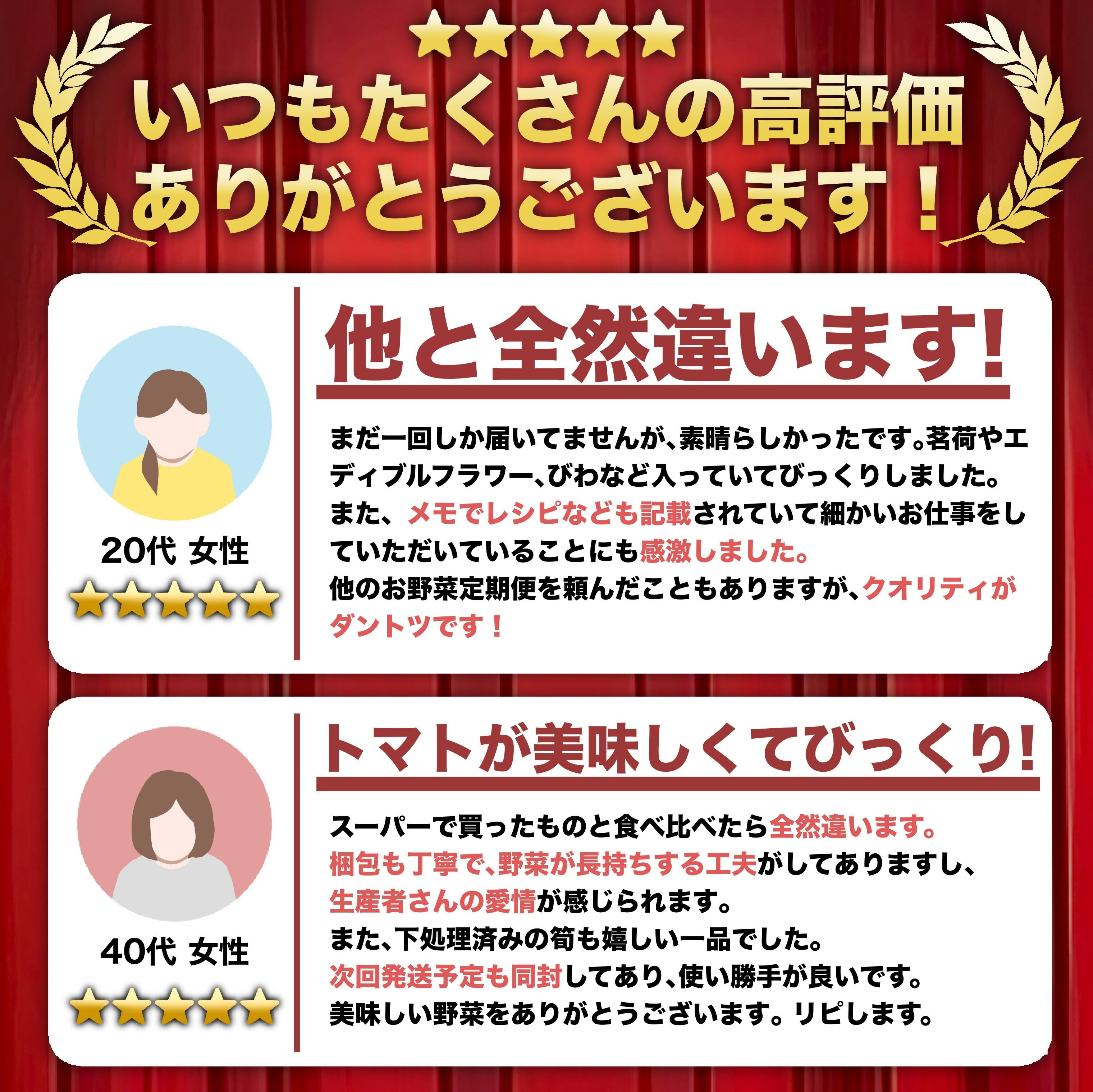 【ふるさと納税】 定期便 野菜 7～13品 3回 6回 12回 野菜詰め合わせ 季節 旬 野菜定期便 野菜セット 詰め合わせ セット 毎月お届け 高知県 須崎市人気 ランキング 食品 お楽しみ バラエティ おすすめ 3か月 6か月 12か月 やさい 野菜盛り まるごと ふるさと納税野菜 サムネイル2