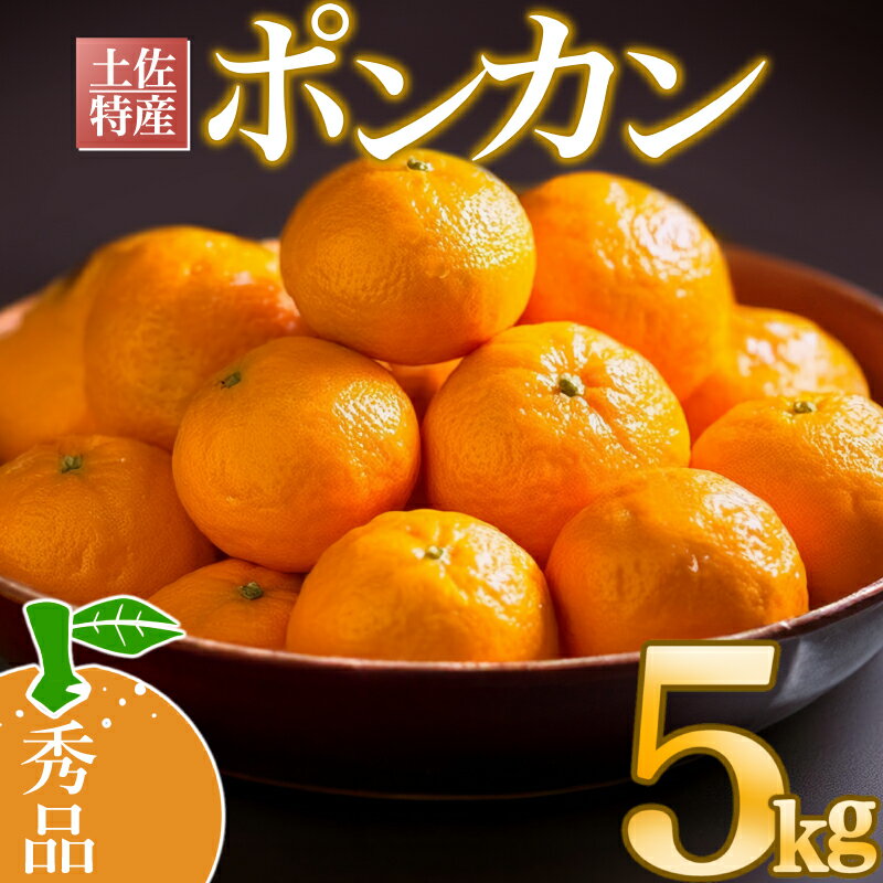 早期予約開始 1月下旬より順次発送 ポンカン 5kg 秀品 あわ地区ポンカン 収穫分 柑橘 フルーツ みかん 産地直送 熟成 送料無料 高知県 須崎市