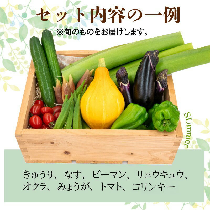 【ふるさと納税】 新鮮野菜セット 6～8品目 レシピ付き 詰め合わせ 産地直送 高知県 須崎市 新玉ねぎ そら豆 スナップえんどう 春キャベツ フルーツトマト じゃが芋 みょうが ズッキーニ オクラ かぼちゃ トマト 秋 旬 新鮮 ふるさと納税野菜 ふるさと納税セット サムネイル2