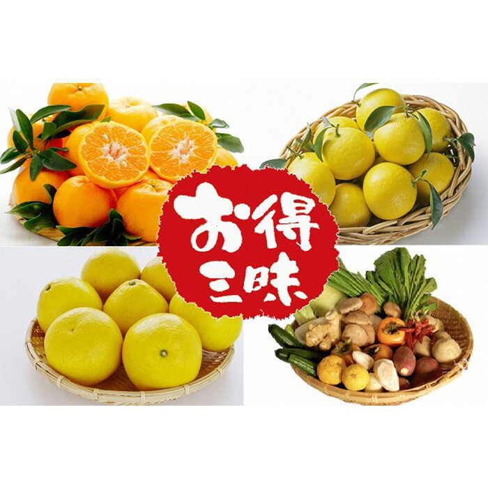 全 3回 定期便 お試しサイズ 柑橘三昧 ( ポンカン 文旦 小夏 ) 野菜 セット付き 南国高知からの贈り物 季節 旬 柑橘 果物 フルーツ 蜜柑 みかん 高知県須崎市人気 ランキング 食品 お楽しみ バラエティ おすすめ 3ヶ月