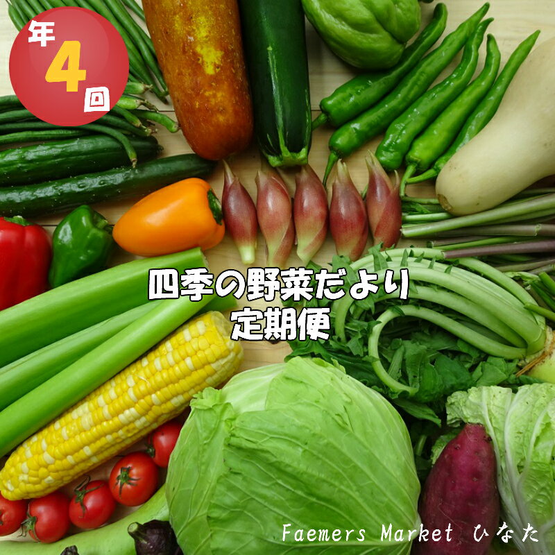 定期便 年 4回 野菜 おまかせ セット 10 〜 14種 春夏秋冬 なばな 新玉ねぎ そら豆 春キャベツ トマト じゃが芋 みょうが オクラ 栗 しょうが キク芋 須崎 高知 HNT2000人気 ランキング 食品 お楽しみ バラエティ おすすめ 4ヶ月 健康