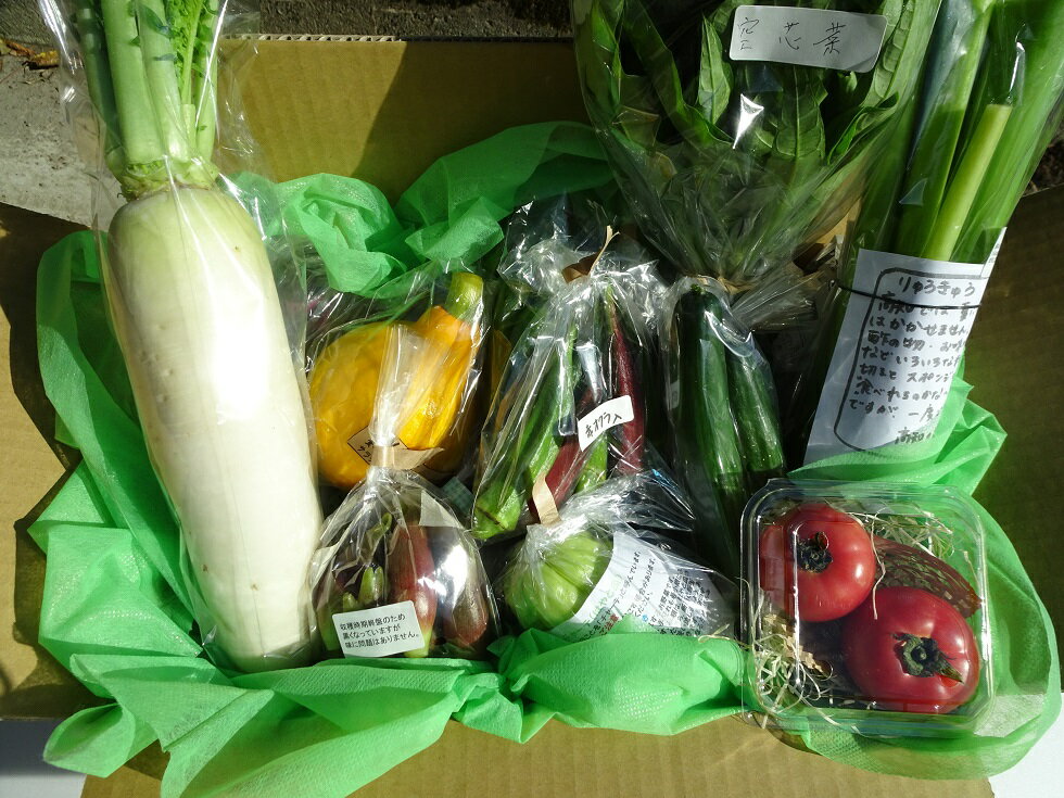 【ふるさと納税】 定期便 年 4回 野菜 おまかせ セット 10 〜 14種 春夏秋冬 なばな 新玉ねぎ そら豆 春キャベツ トマト じゃが芋 みょうが オクラ 栗 しょうが キク芋 須崎 高知 HNT2000人気 ランキング 食品 お楽しみ バラエティ おすすめ 4ヶ月 健康 - 画像2