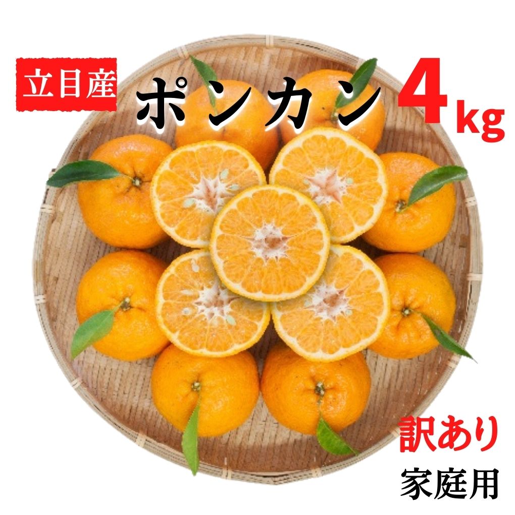 【早期予約 2026年1月中旬より順次発送】 ぽんかん 4kg 家庭用 大小混合 不揃い 規格外 わけあり 訳アリ 先行予約 高知県産 立目産 果物 フルーツ 柑橘 みかん くだもの 低農薬 高知県 須崎市