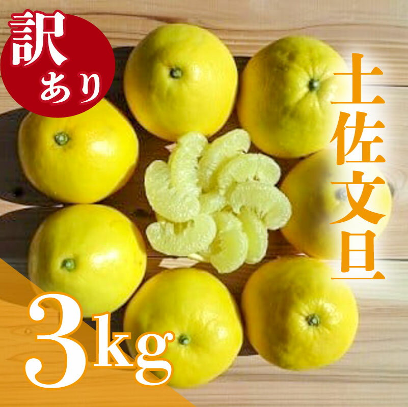 訳あり 土佐文旦 家庭用 3kg 4〜7玉 柑橘 ぶんたん フルーツ みかん 【早期予約 2026年2月下旬より順次発送】 南国 高知 からの 贈り物 産地直送 先行予約 ふるさと納税 文旦 訳アリ くだもの 須崎 ふるさと納税みかん ふるさと納税柑橘