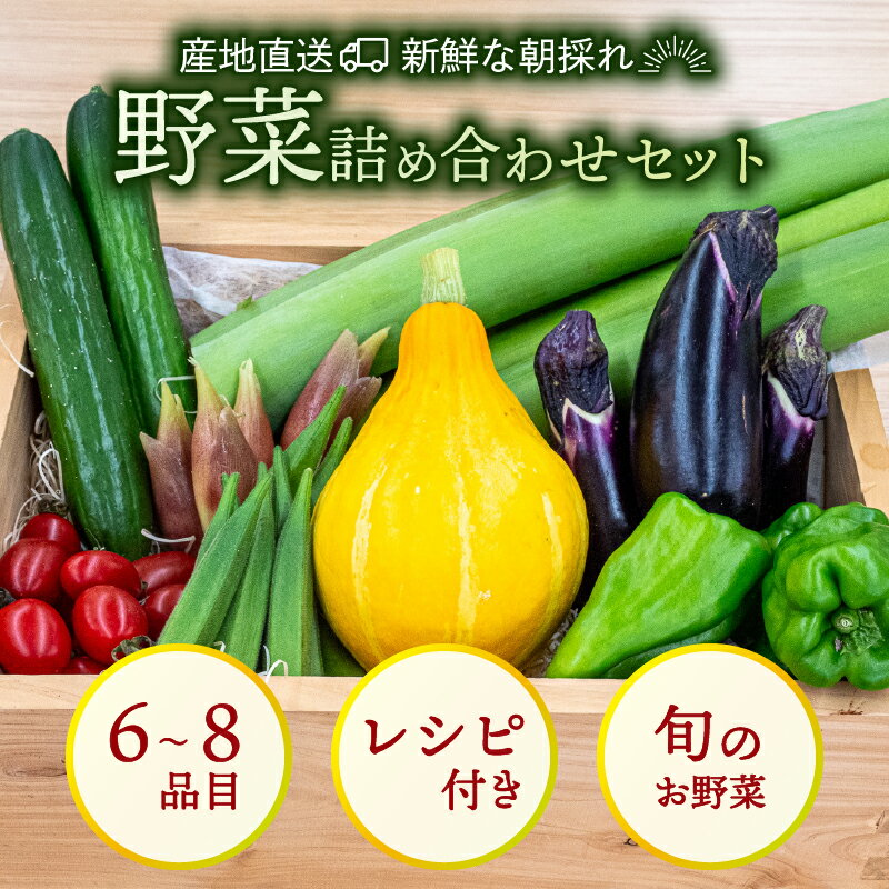 新鮮野菜セット 6～8品目 レシピ付き 詰め合わせ 産地直送 高知県 須崎市 新玉ねぎ そら豆 スナップえんどう 春キャベツ フルーツトマト じゃが芋 みょうが ズッキーニ オクラ かぼちゃ トマト 秋 旬 新鮮 ふるさと納税野菜 ふるさと納税セット