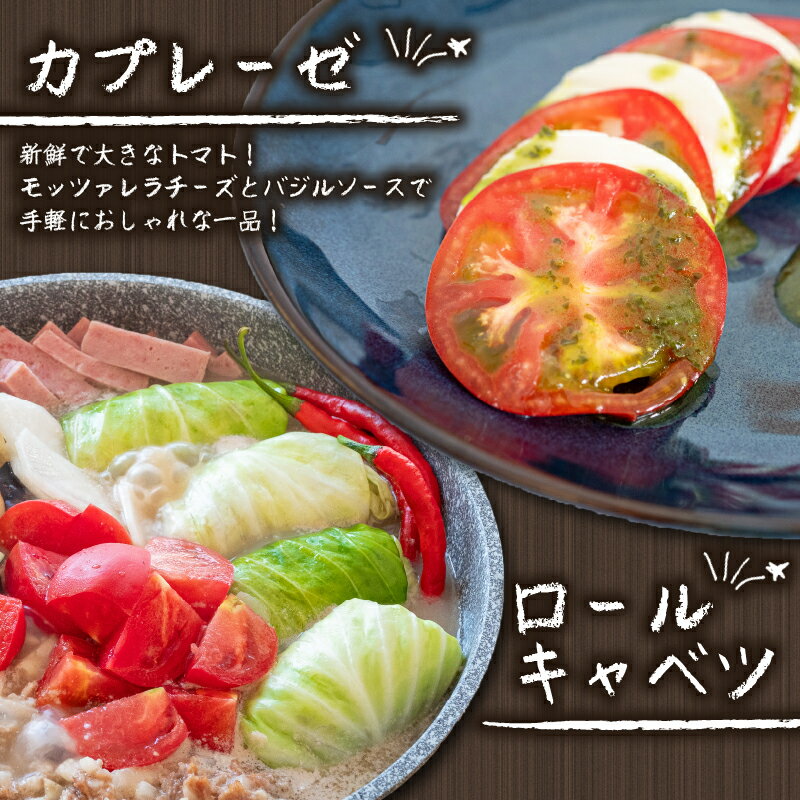 【ふるさと納税】 新鮮野菜セット 6～8品目 レシピ付き 詰め合わせ 産地直送 高知県 須崎市 新玉ねぎ そら豆 スナップえんどう 春キャベツ フルーツトマト じゃが芋 みょうが ズッキーニ オクラ かぼちゃ トマト 秋 旬 新鮮 ふるさと納税野菜 ふるさと納税セット サムネイル3