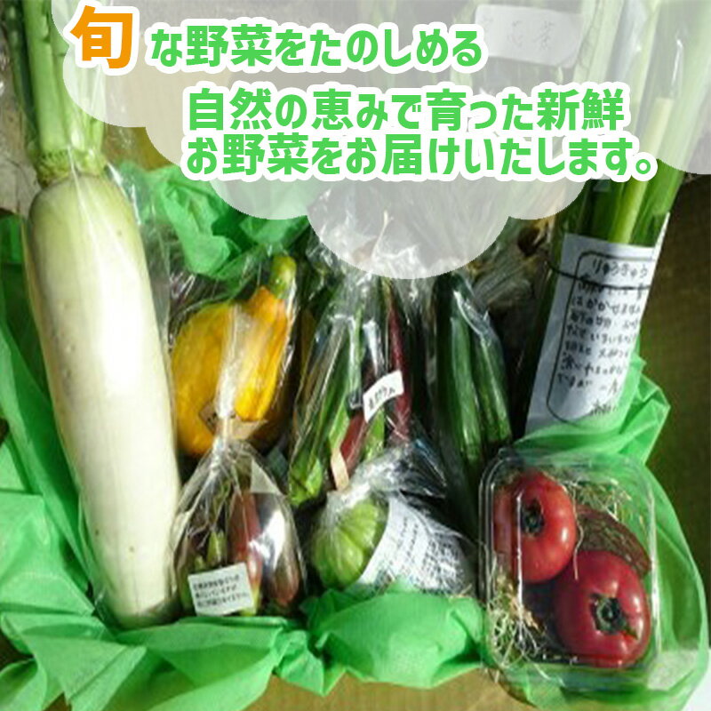 【ふるさと納税】 【早期予約】 全 12回 12ヶ月 定期便 季節 旬の 野菜 6 ～ 8品 詰め合わせ セット 年末年始限定 早期予約 期間限定 高知県 須崎市人気 ランキング 食品 お楽しみ バラエティ おすすめ サムネイル2