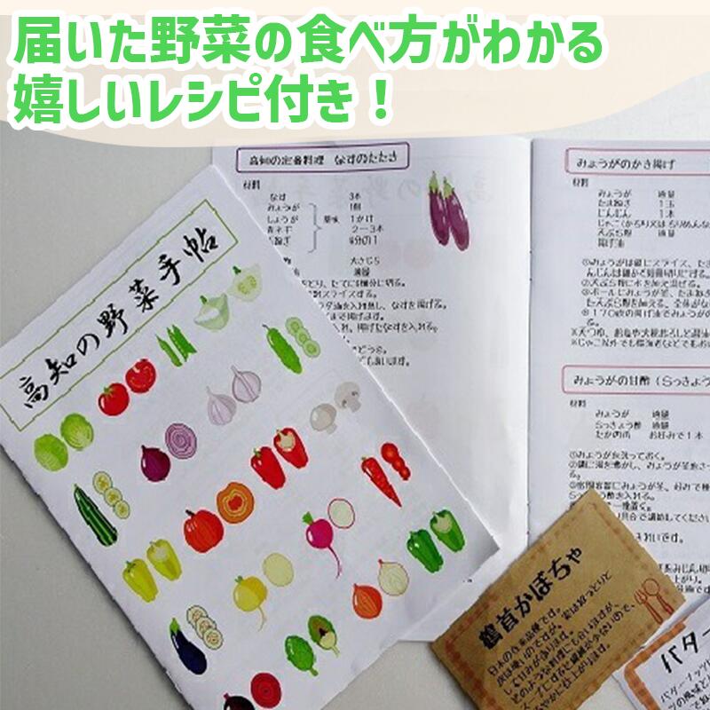 【ふるさと納税】 【早期予約】 全 12回 12ヶ月 定期便 季節 旬の 野菜 6 ～ 8品 詰め合わせ セット 年末年始限定 早期予約 期間限定 高知県 須崎市人気 ランキング 食品 お楽しみ バラエティ おすすめ サムネイル3