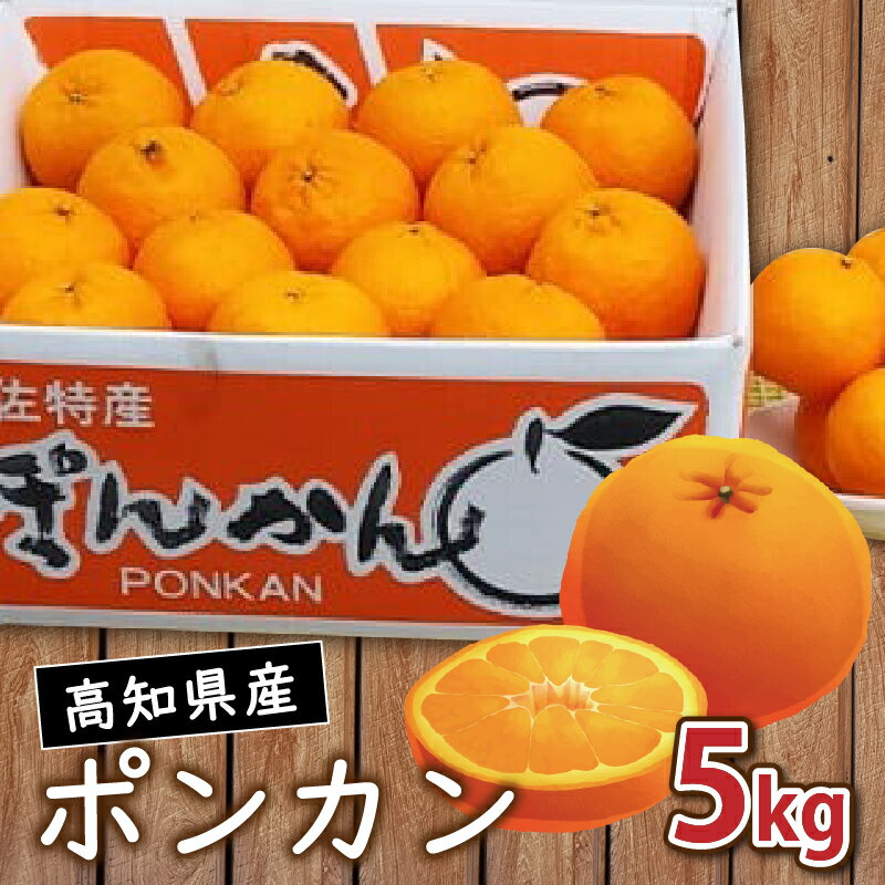 早期予約 2026年 1月 より 発送 訳あり 家庭用 高知県産 浦ノ内産 ポンカン 5kg おすすめ みかん 蜜柑 柑橘 早期 予約 季節限定 期間限定 産地直送 高知県 須崎市 こだわり