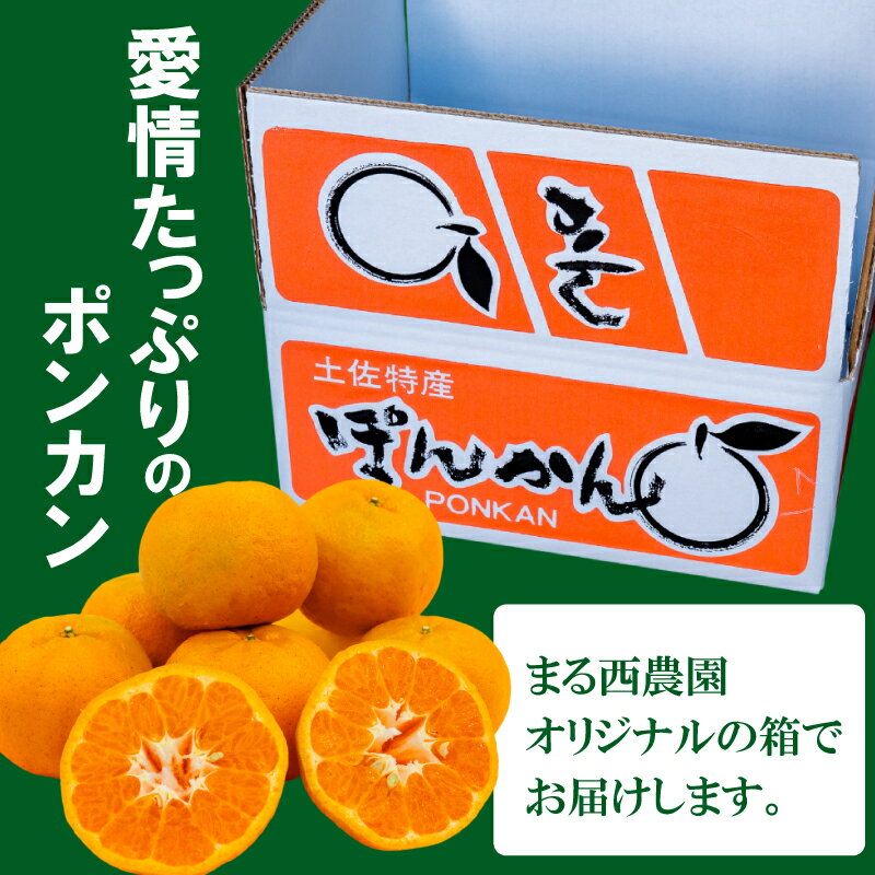 【ふるさと納税】 早期予約 2026年 1月 より 発送 訳あり 家庭用 高知県産 浦ノ内産 ポンカン 5kg おすすめ みかん 蜜柑 柑橘 早期 予約 季節限定 期間限定 産地直送 高知県 須崎市 こだわり サムネイル3