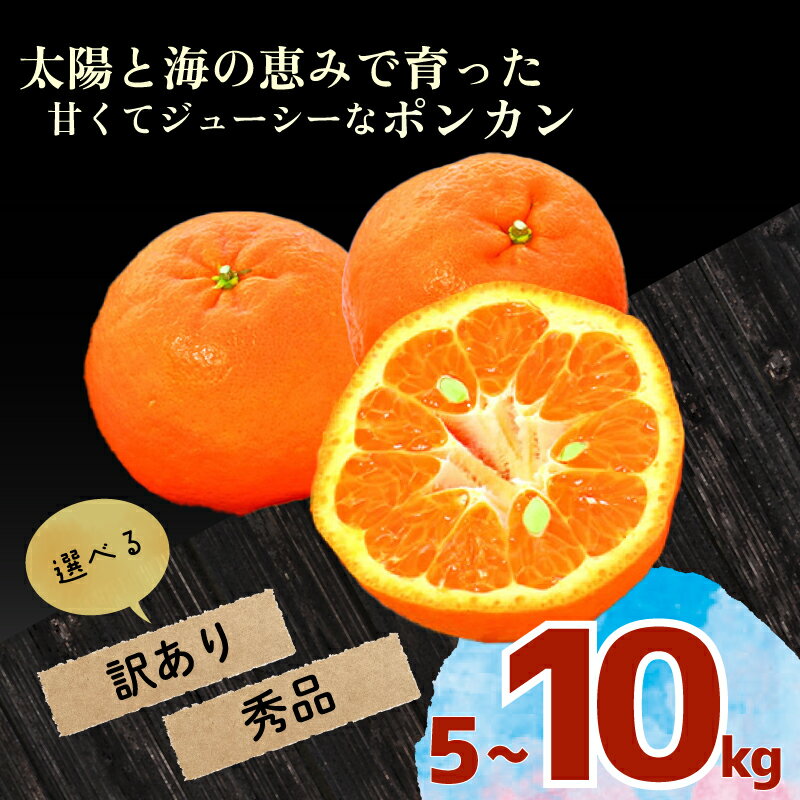ポンカン 5kg 10kg 訳あり 秀品 選べる 早期受付 2026年1月中旬より順次発送 安和ポンカン 産地直送 柑橘 贈答 ギフト フルーツ 果物 くだもの 果実 みかん デザート 贅沢 ふるさと納税 高知県 須崎市 YN