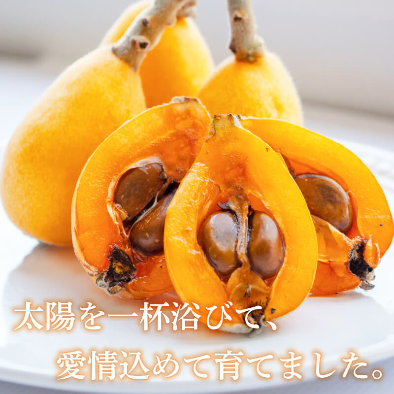 【ふるさと納税】 【早期予約受付 5月中旬 ~ 6月上旬 発送予定】約 1.2kg 数量限定 びわ フルーツ 果物 おすすめ 旬 果実 ギフト 枇杷 期間限定 高知県 須崎市 高級 季節 初夏 高知 贈答 父の日 大玉 果実 くだもの - 画像2