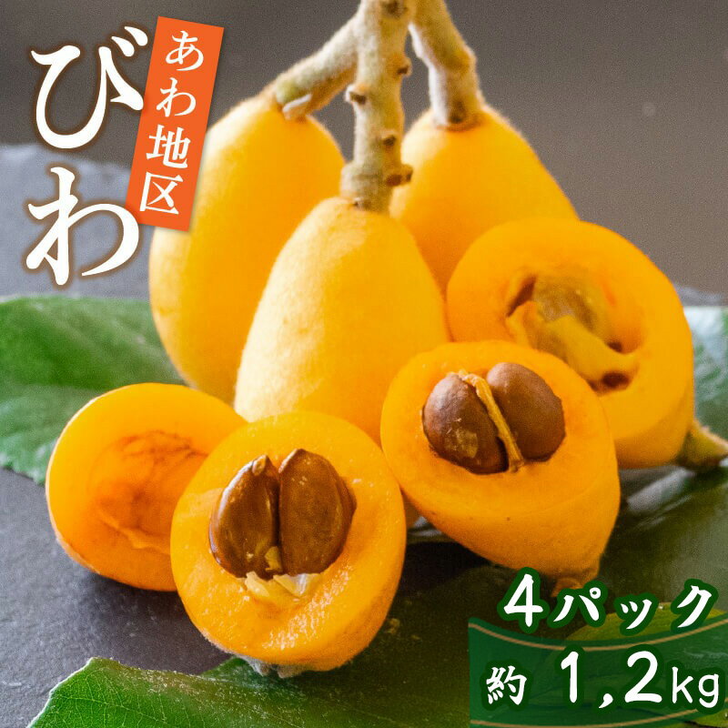 【早期予約受付 5月中旬 ~ 6月上旬 発送予定】約 1.2kg 数量限定 びわ フルーツ 果物 おすすめ 旬 果実 ギフト 枇杷 期間限定 高知県 須崎市 高級 季節 初夏 高知 贈答 父の日 大玉 果実 くだもの