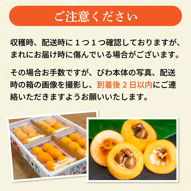 【ふるさと納税】 【早期予約受付 5月中旬 ~ 6月上旬 発送予定】約 1.2kg 数量限定 びわ フルーツ 果物 おすすめ 旬 果実 ギフト 枇杷 期間限定 高知県 須崎市 高級 季節 初夏 高知 贈答 父の日 大玉 果実 くだもの - 画像3
