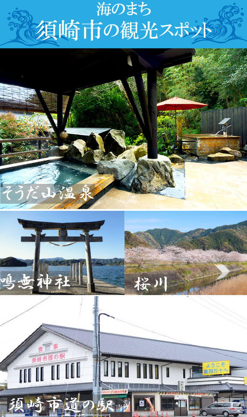 【ふるさと納税】 高知県須崎市の対象施設で使える楽天トラベルクーポン 寄付額50,000円 サムネイル3
