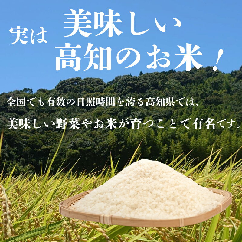 【ふるさと納税】 令和7年産 コシヒカリ 米 選べる容量 3kg 5kg 10kg 15kg 30kg 定期便 令和7年産 白米 お米 精米 米 こめ 3ヶ月定期便 3回定期便 6ヶ月定期便 6回定期便 ブランド米 国産 人気 しんじょう君 おこめ 米 ふるさと納税 ふるさと納税米 高知県 須崎市 - 画像3