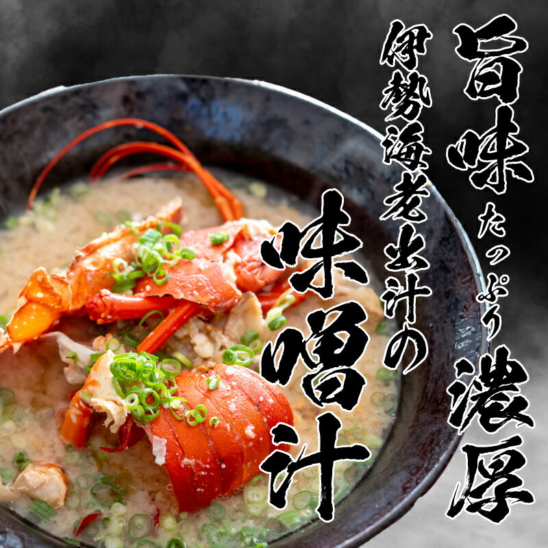 【ふるさと納税】 活き 伊勢海老 選べる 容量 600g 800g 1.6kg 以上 吉岡 ( 1尾 ～ 8尾 サイズ混合 えび エビ いせえび 高級 鮮魚 イセエビ 海鮮 魚介 刺身 焼き物 汁物 ギフト 贈答 贈り物 祝い 歳暮 中元 高知 天然 海の幸 高知県 須崎市 ) ふるさと納税伊勢海老 サムネイル3