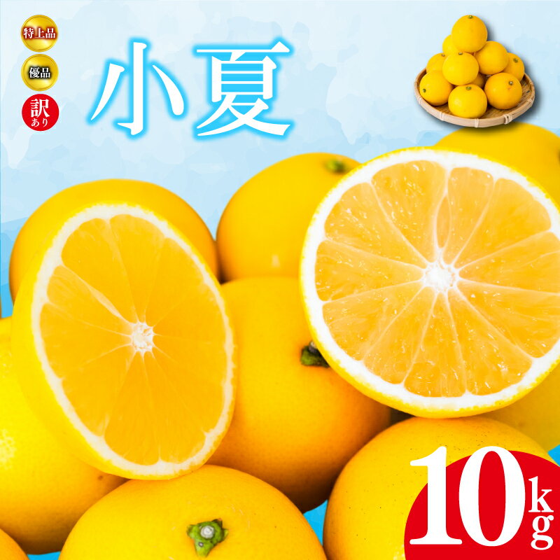 【 2026年4月より発送 】 小夏 10kg 特上品 贈答用 優品 家庭用 訳あり 高知県産 早期予約 柑橘 フルーツ 果物 みかん ミカン 蜜柑 こなつ ニューサマーオレンジ 日向夏 産地直送 大小混合品 高知県 須崎 KJS008
