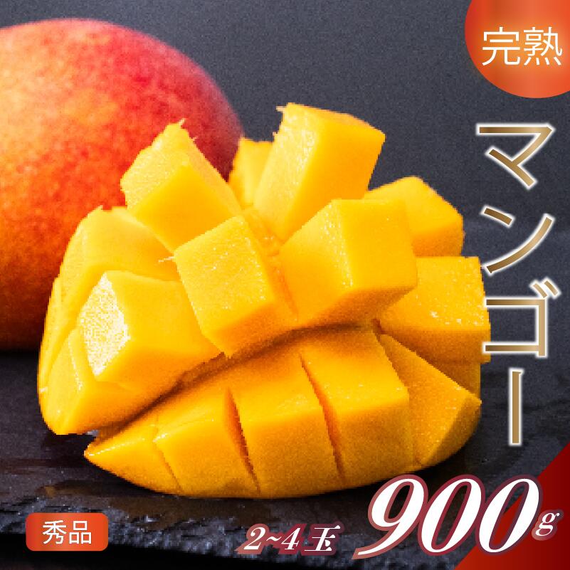 【早期予約】《2026年5月中旬から発送》マンゴー 秀品 2~4玉900g 果物 完熟 フルーツ 完熟マンゴー 期間限定 ギフト 贈答用 ふるさと納税マンゴー 甘味 デザート 甘い 産地直送 高知県 須崎市 SKN002_x