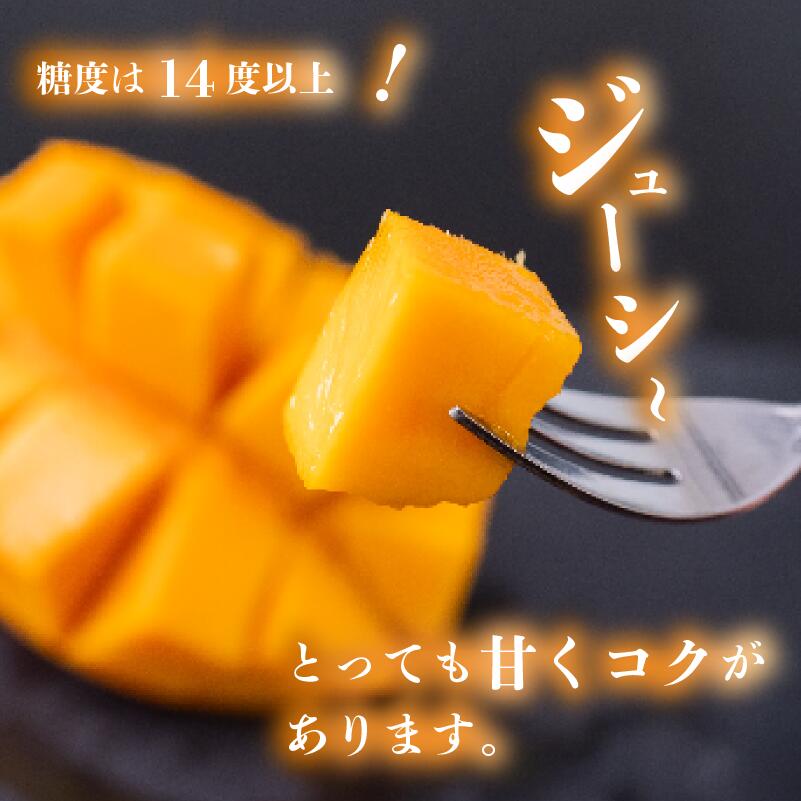 【ふるさと納税】 【早期予約】《2026年5月中旬から発送》マンゴー 秀品 2~4玉900g 果物 完熟 フルーツ 完熟マンゴー 期間限定 ギフト 贈答用 ふるさと納税マンゴー 甘味 デザート 甘い 産地直送 高知県 須崎市 SKN002_x サムネイル3
