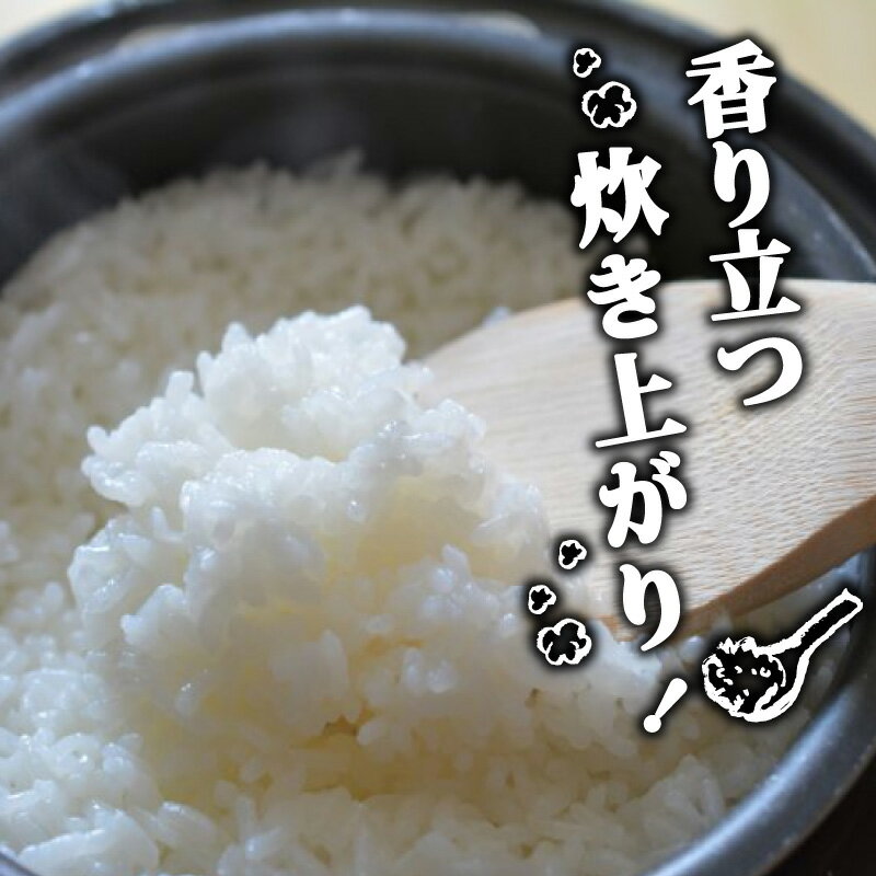 【ふるさと納税】 コシヒカリ 選べる 3Kg 5Kg 10Kg 2025年産 産地直送 高知県産 白米 精米 こしひかり 米 常温 配送 ブランド米 国産 米 早場米 人気 天然 恵み 心 高知県 須崎 SI001 - 画像3