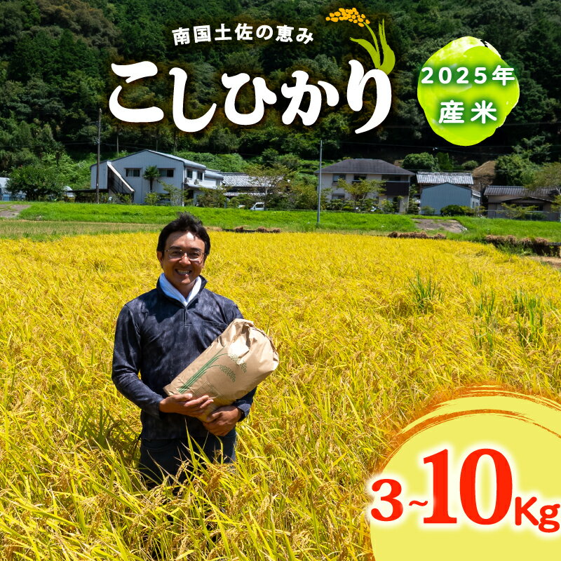 コシヒカリ 選べる 3Kg 5Kg 10Kg 2025年産 産地直送 高知県産 白米 精米 こしひかり 米 常温 配送 ブランド米 国産 米 早場米 人気 天然 恵み 心 高知県 須崎 SI001