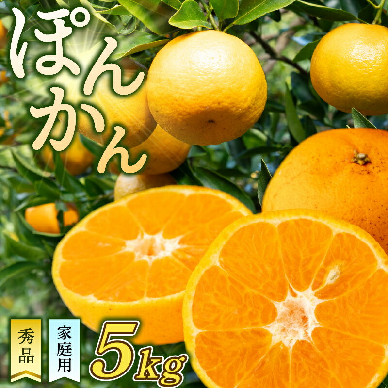 ポンカン 5kg 訳あり 秀品 選べる 早期受付 2026年1月中旬より順次発送 浦ノ内ポンカン 産地直送 柑橘 贈答 ギフト フルーツ 果物 くだもの 果実 みかん デザート 贅沢 ふるさと納税 高知県 須崎市 HK