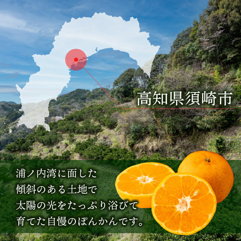 【ふるさと納税】 ポンカン 5kg 訳あり 秀品 選べる 早期受付 2026年1月中旬より順次発送 浦ノ内ポンカン 産地直送 柑橘 贈答 ギフト フルーツ 果物 くだもの 果実 みかん デザート 贅沢 ふるさと納税 高知県 須崎市 HK サムネイル2