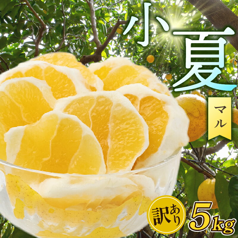 【早期予約 5月中旬～発送】訳あり 小夏 ( 日向夏 ) 5kg ニューサマーオレンジ 無印 マル 等級 旬 高知 県 須崎 産 柑橘 初夏 フルーツ 果物 こなつ コナツ ひゅうが夏 みかん わけあり 母の日 HK002