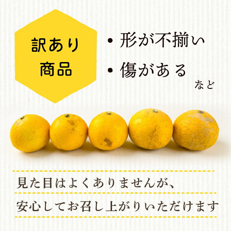 【ふるさと納税】 【早期予約 5月中旬～発送】訳あり 小夏 ( 日向夏 ) 5kg ニューサマーオレンジ 無印 マル 等級 旬 高知 県 須崎 産 柑橘 初夏 フルーツ 果物 こなつ コナツ ひゅうが夏 みかん わけあり 母の日 HK002 - 画像3
