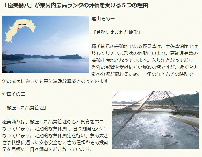 【ふるさと納税】 カンパチ 2節 セット 高級 魚 極美勘八 かんぱち 勘八 刺身 出世魚 養殖 産地直送 ぶりしゃぶ 照り焼き 刺し身 高知県 須崎市 ふるさと納税カンパチ ふるさと納税ふるさと - 画像3