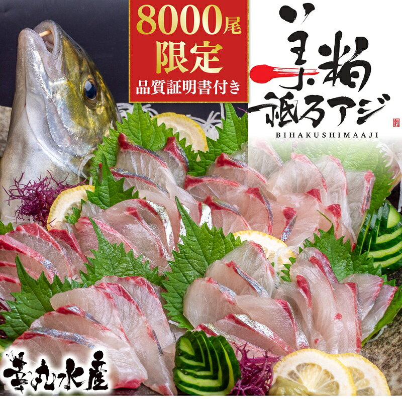 高級 シマアジ 美粕祇万アジ 250 ～ 500g フィーレ カマ アラ付 高級魚 刺身 刺身用 縞鯵 鯵 海鮮 鮮魚 新鮮 魚介 冷凍 魚 さかな 小分け 高知県 須崎市 SCM001-all