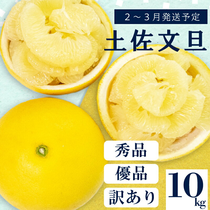 【 2月上旬から 発送 】 秀品 優品 訳あり 文旦 高知 10kg L ～ 4L サイズ 混合 浦ノ内特産 早期予約 予約受付中 期間限定 季節限定 限定 旬 みかん ミカン ぶんたん 高知県 土佐文旦 柑橘 家庭用 ふるさと納税文旦 ふるさと納税みかん ふるさと納税柑橘
