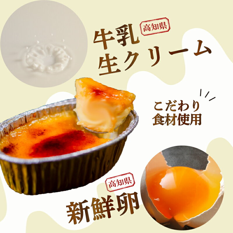 【ふるさと納税】 濃厚 焦がしクリームブリュレ 5個 9個 15個 単品 選べる 定期便 3ヶ月 6ヶ月 12ヶ月 冷凍 アイス プリン カタラーナ スイーツ デザート 卵 お菓子 洋菓子 焼き菓子 ギフト おやつ 包装 贈答 贅沢 ご褒美 贈り物 お取り寄せグルメ 高知県 須崎市 - 画像2